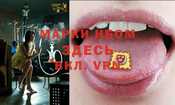 прущие грибы Алексеевка