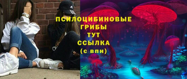 прущие грибы Алексеевка