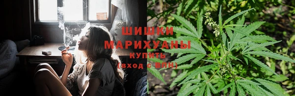 COCAINE Алзамай