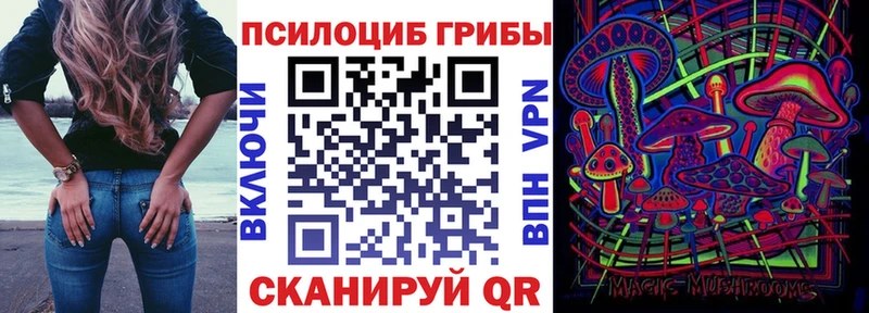 где продают Любим Галлюциногенные грибы мухоморы